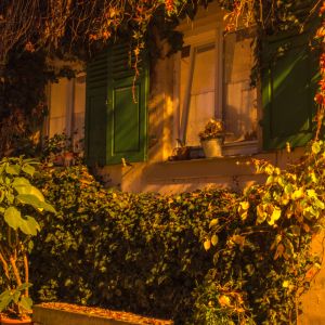 bamberg 10 2029  131 von 