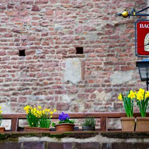 2 heidelberg schloss